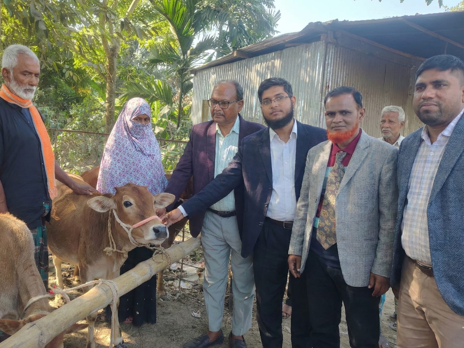 গোপালপুরে বিনামূল্যে বকনা গরু বিতরণ 